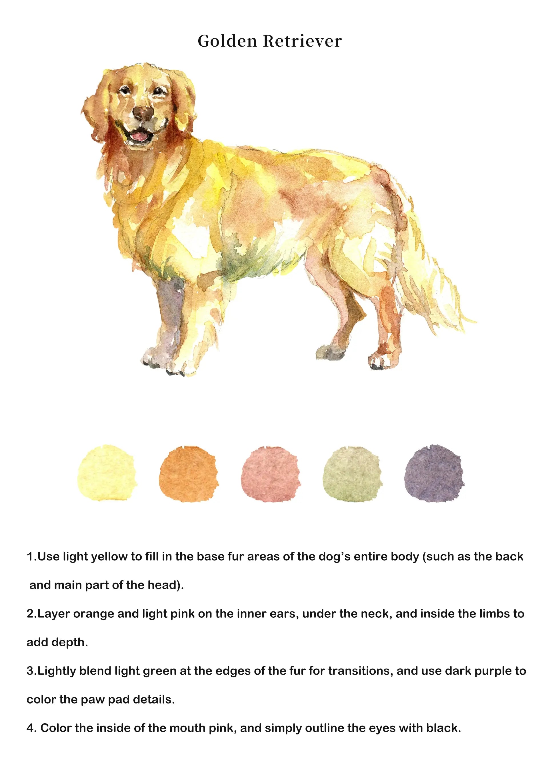 Animals Watercolor Book (Book Only) ColorWhisper Wellness