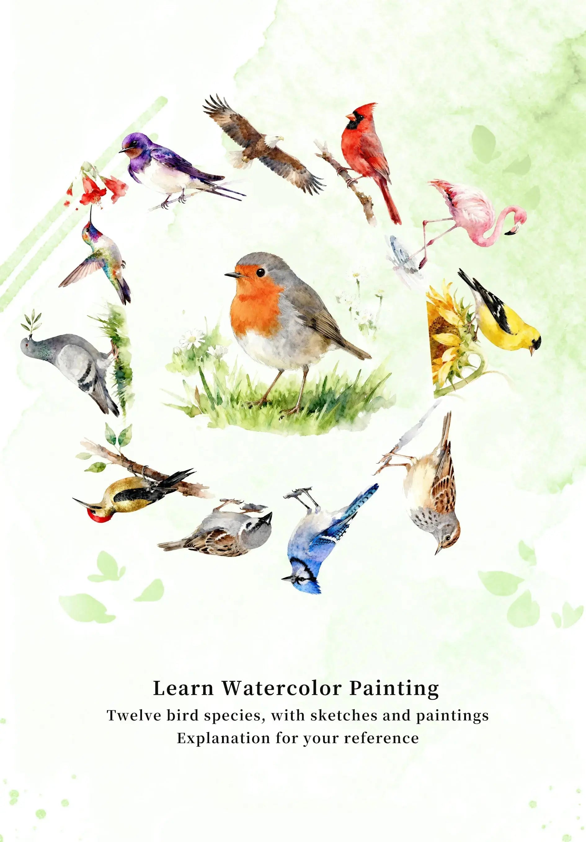 Birds Watercolor Book (Book Only) ColorWhisper Wellness