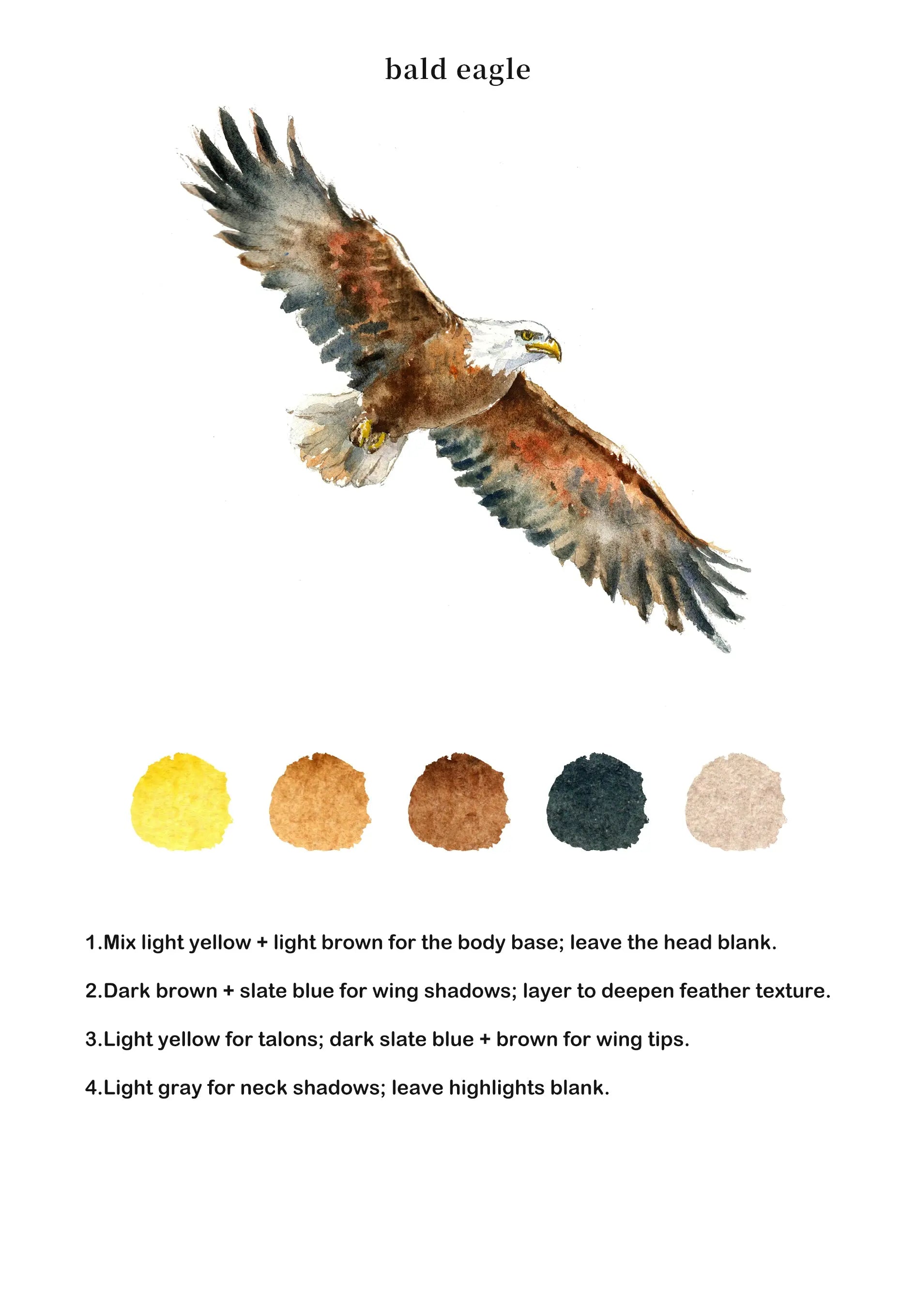 Birds Watercolor Book (Book Only) ColorWhisper Wellness