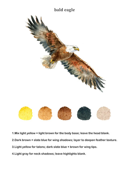 Birds Watercolor Book (Book Only) ColorWhisper Wellness