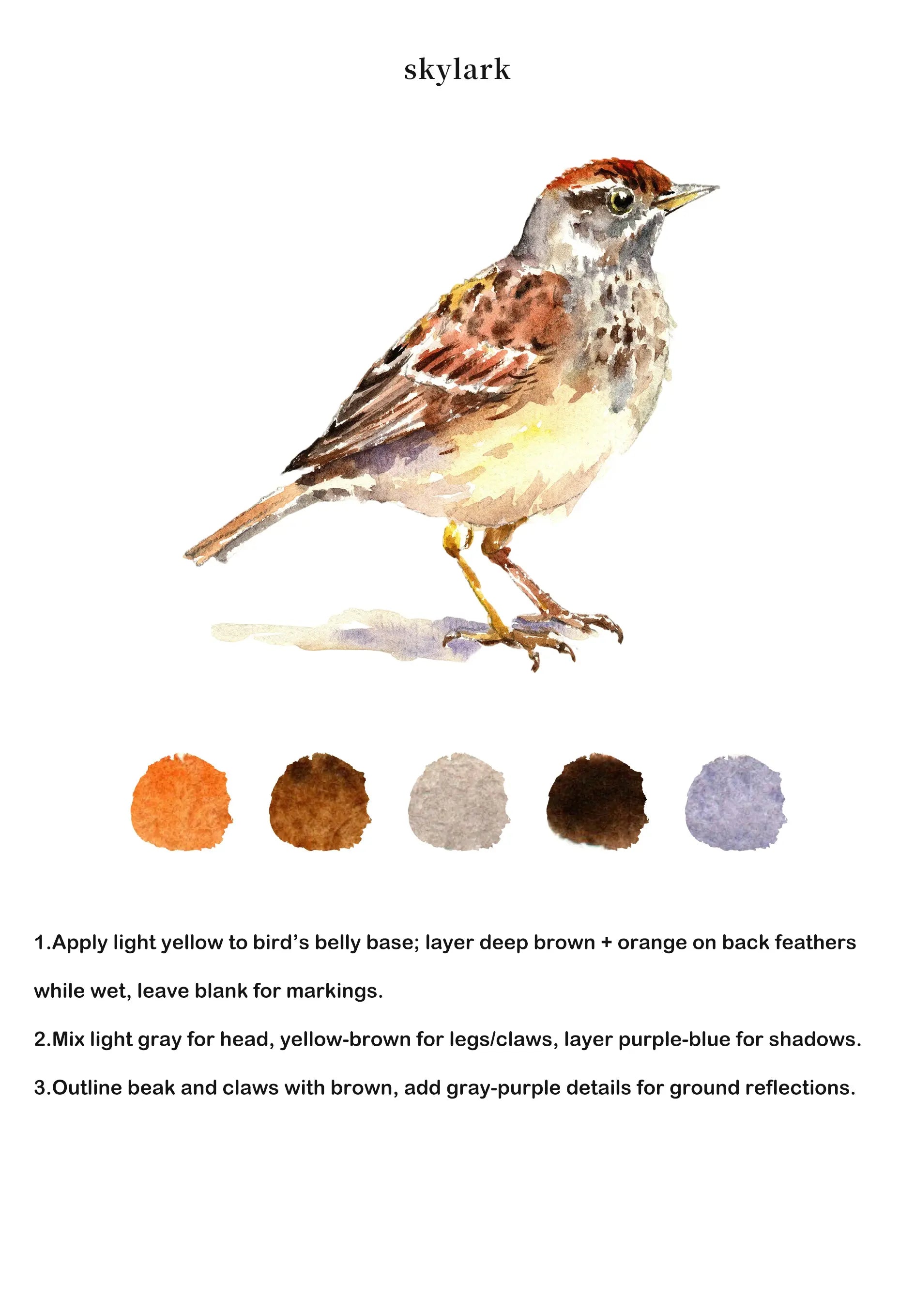 Birds Watercolor Book (Book Only) ColorWhisper Wellness