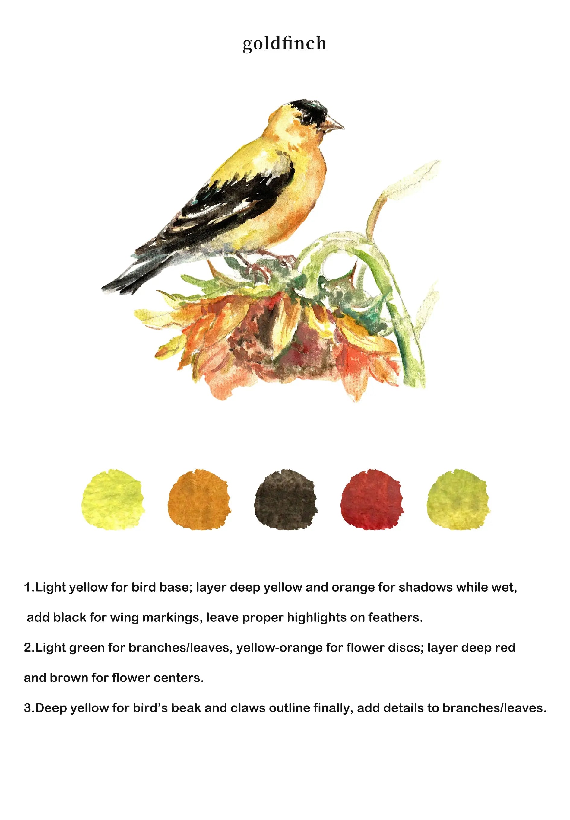 Birds Watercolor Book (Book Only) ColorWhisper Wellness