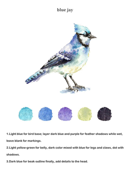 Birds Watercolor Book (Book Only) ColorWhisper Wellness