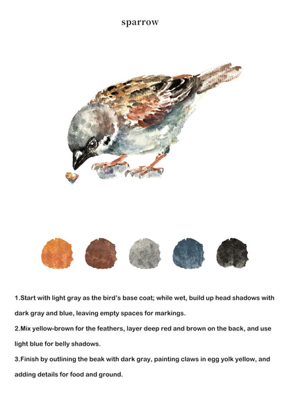 Birds Watercolor Book (Book Only) ColorWhisper Wellness